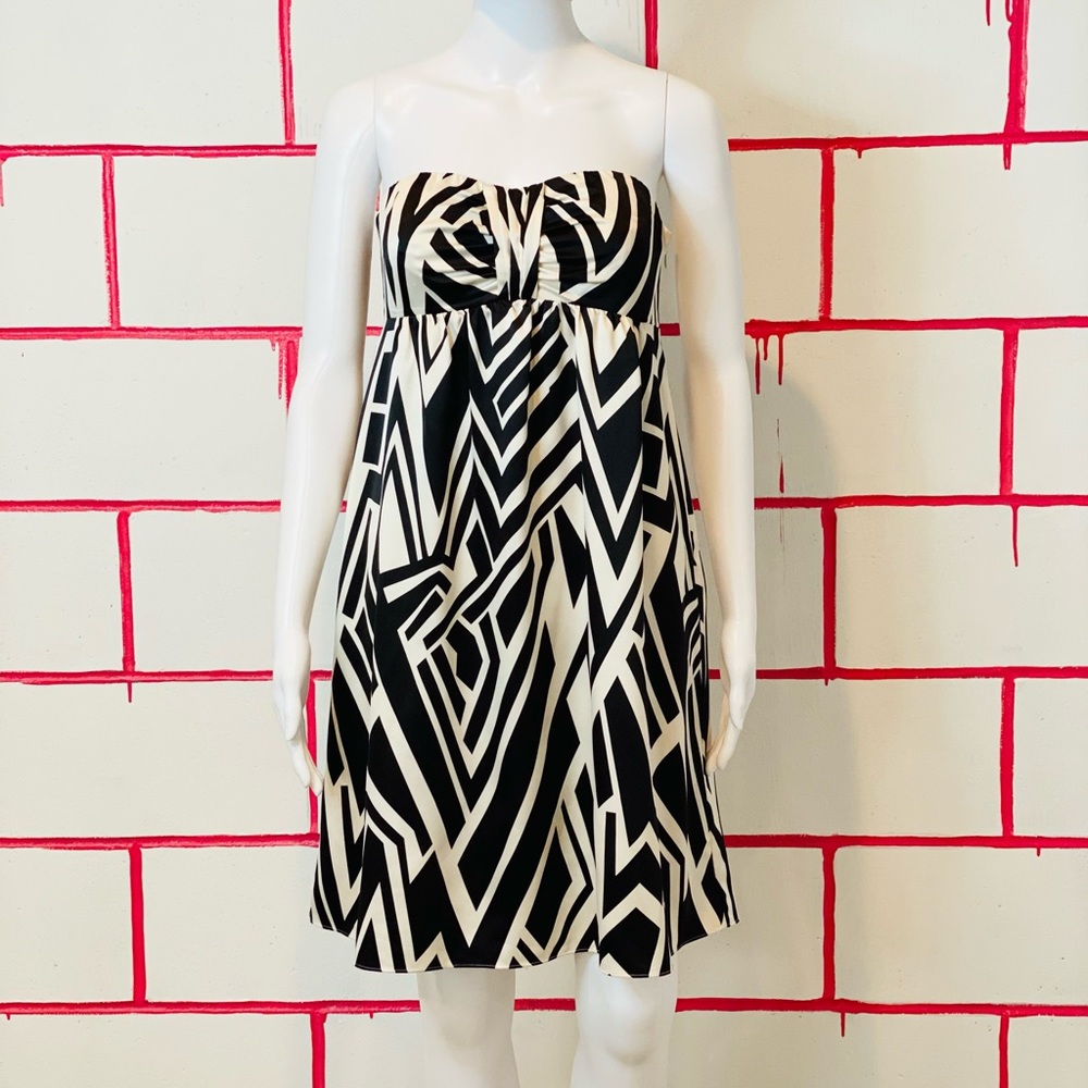 The Limited Strapless Black & White Dress